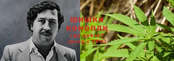 хмурый Инта