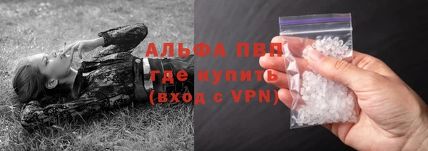 хмурый Инта