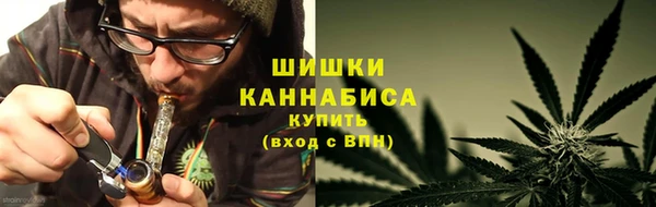 молекула духа Инсар