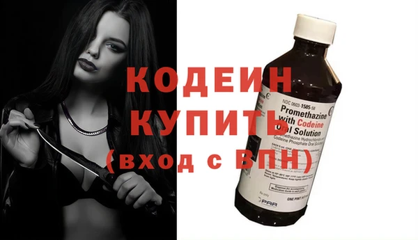 хмурый Инта