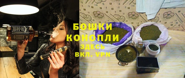 хмурый Инта