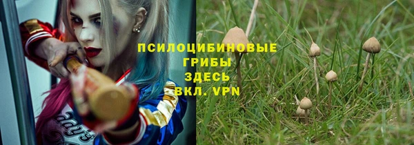 хмурый Инта