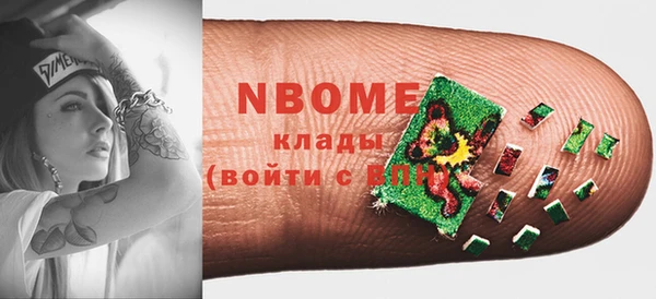 хмурый Инта