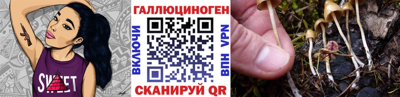 Псилоцибиновые грибы MAGIC MUSHROOMS  Купить где  Камбарка 